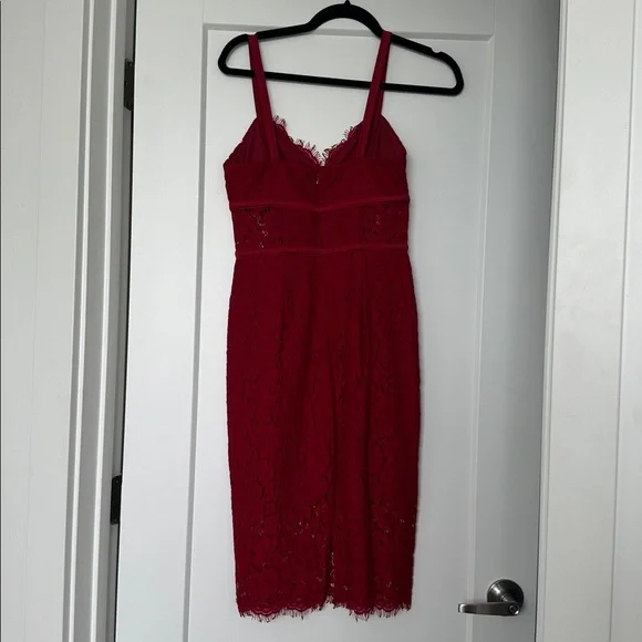 Express Lace Dress - Picture 4 of 4